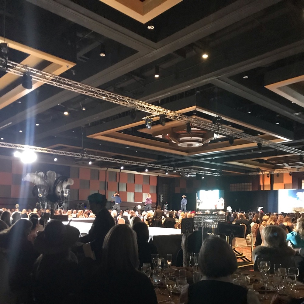 Meet your Posher, Shelly